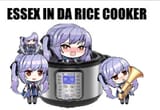 Ricesex