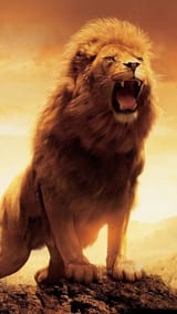 roaring_lion