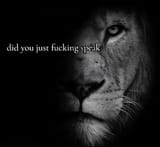 FB_IMG_1745749377239
