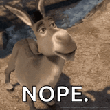 no-donkeys