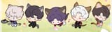 kitties