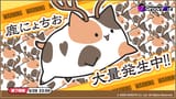 deerchio