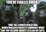 1658981644239212