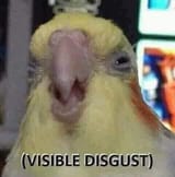 EgPktQIVAAE1z6z