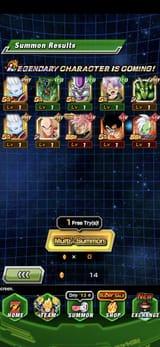 Screenshot_20250710_021029_Dokkan