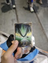 1743775682787338