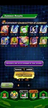 1733563307613166