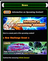 1733496493598872