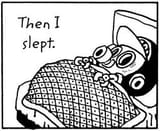 torisleep