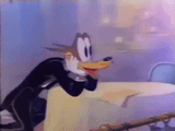 13446709998