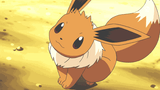 tumblr_114428546132e52c821886ed2f7ad285_b2af89f4_540