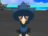 murkrow