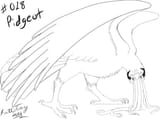 018_pidgeot_by_kattotang-d3h60cb