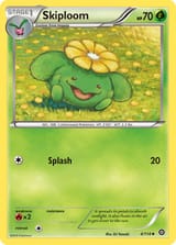 en_US-XY11-004-skiploom
