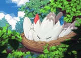 togekiss_by_yonyonyon-dahthob
