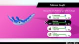 Same run as Raikou