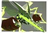 __vikavolt_charjabug_and_grubbin_pokemon_drawn_by_ewokakukaede__bb158a35d51ac1cf4f0d4e5a1d5c0f7d