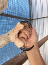 holdhands