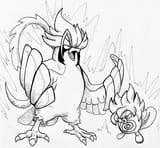 2431319_bonzo216_poliwag-and-mega-pidgeot
