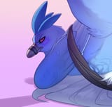 WLitTG_Articuno