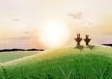 __sentret_pokemon_drawn_by_oumi_mizu__d8088fad6c79cd1d98016a445db708b1