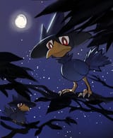 __murkrow_pokemon_drawn_by_nihine_u_u115__e64eafad5bf6e616a3e24269a12fff94