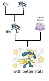 breeding