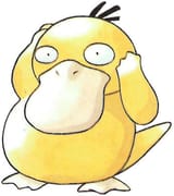 psyduck-rg