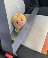 copilot diglett 2