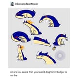 typhlosion-gang-rise-up-v0-l8hkap061maa1[1]