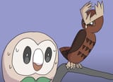 worried-rowlet