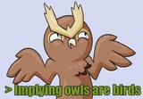 impying_owls_are_birds_by_m3rror_d3ila6g-375w-2x