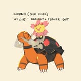 Sun Rider