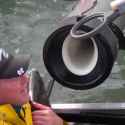 Fish Delivery_thumb.jpg