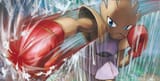 HitmonchanEvolvingSkies81Art
