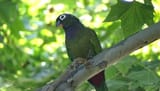 IMG_20250610_153849