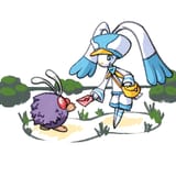 Pelipunny