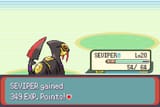 Pokemon - Emerald Version (USA, Europe)-250610-162928