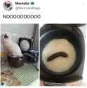 1734877086545103s