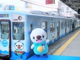theres-an-oshawott-train-in-japan-v0-ucp9zkskfkc81