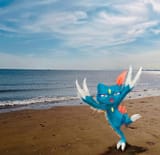 irl beach sneasel by katsuraginoa