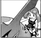 pet fug