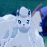 Ninetales Nikator