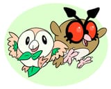 Hoothoot Rowlet