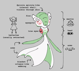 Thread 57900228 OP Image