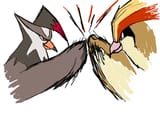 __pidgeot_and_staraptor_pokemon_and_1_more_drawn_by_drawfag__dcb8d8d58465ea4fff31f4ce19ed1b65