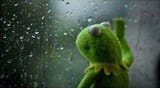 kermit window