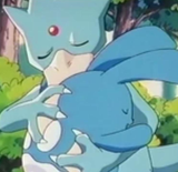 azumarillgolduck