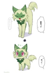 a6fa4e5c2eb0f81008d9db9971f2e7d5