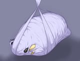 GBePZT1bkAA9fWQ